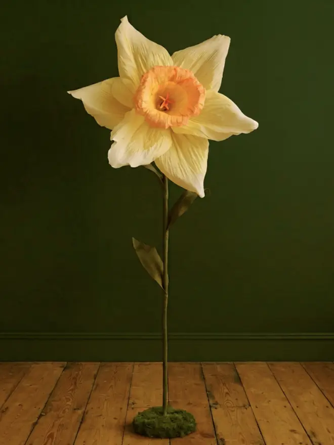 Giant Yellow Daffodil