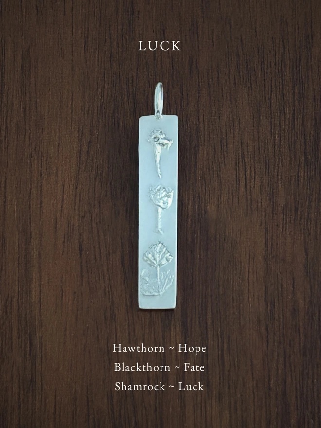 Luck bar pendant in sterling silver on a dark background with the meaning of the flowers written in white
