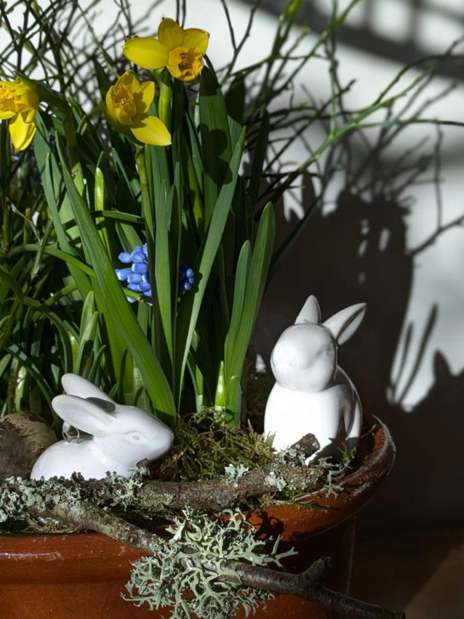 White Ceramic Easter Bunny Decoration amongst spring flowers such as daffodills 