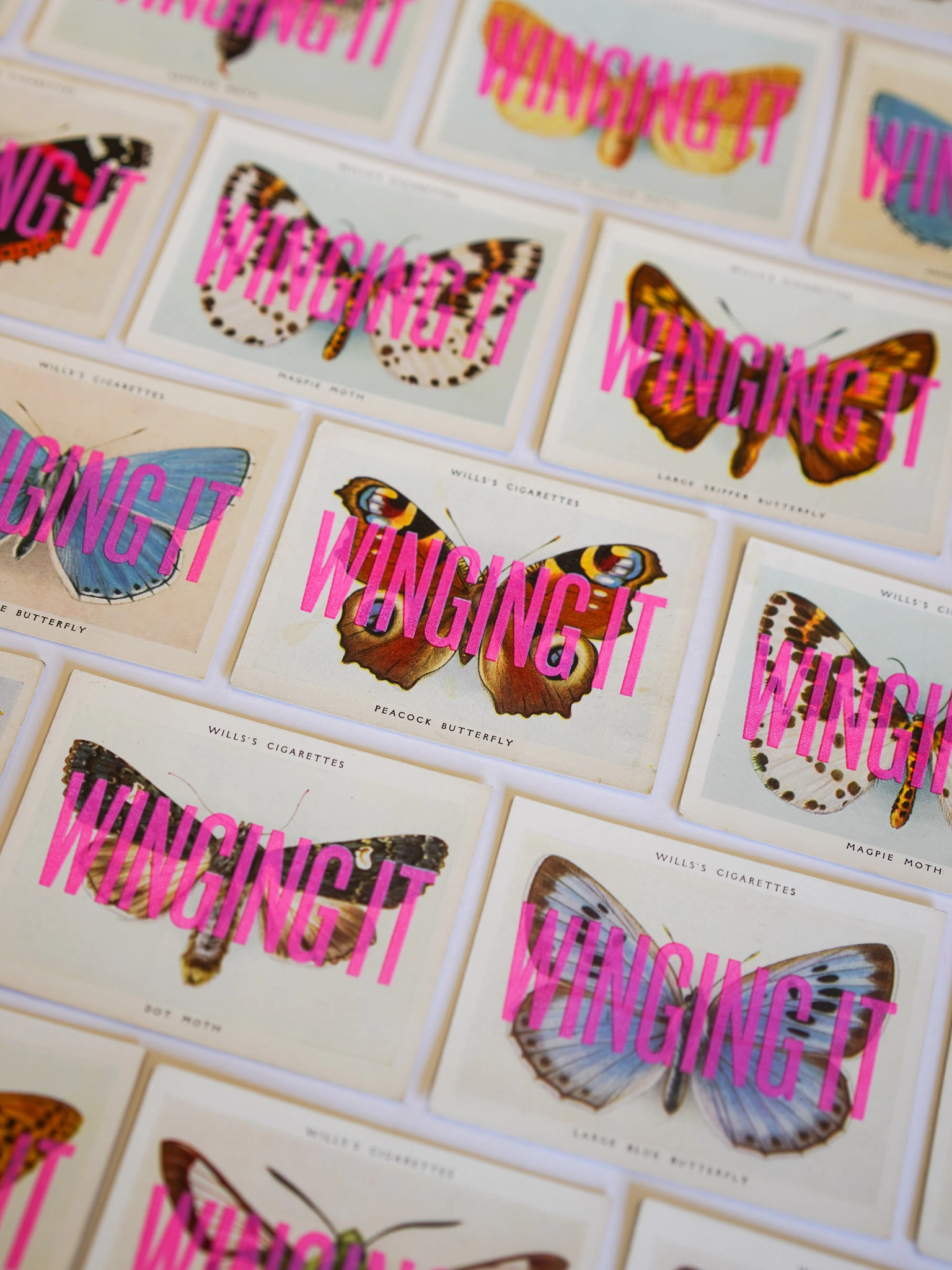 flat lay to show a variety of butterflies with hand screenprinted typography over the top. 