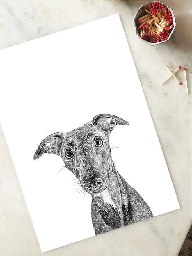 Art print of hand drawn portrait of a whippet laying on a table
