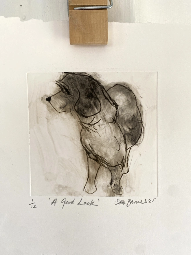 'A Good Look'. Handmade Dog Drypoint Print by Samantha Barnes