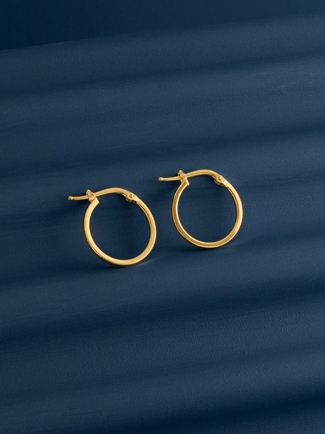Loel Gold Classic Small Hoop Earrings