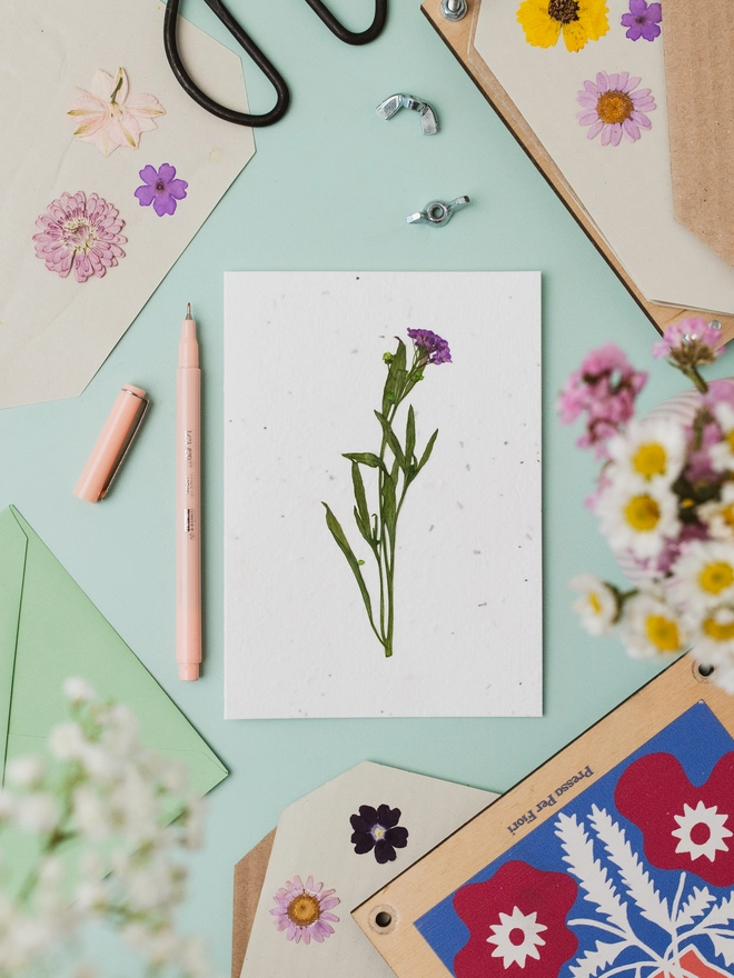 Real Pressed Flower Card, Purple