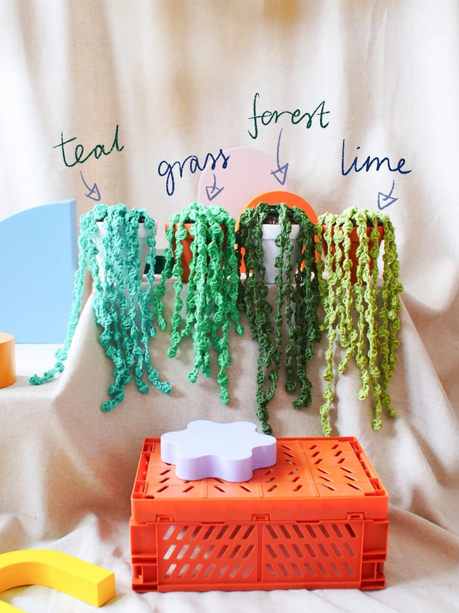 crochet string of pearls plant