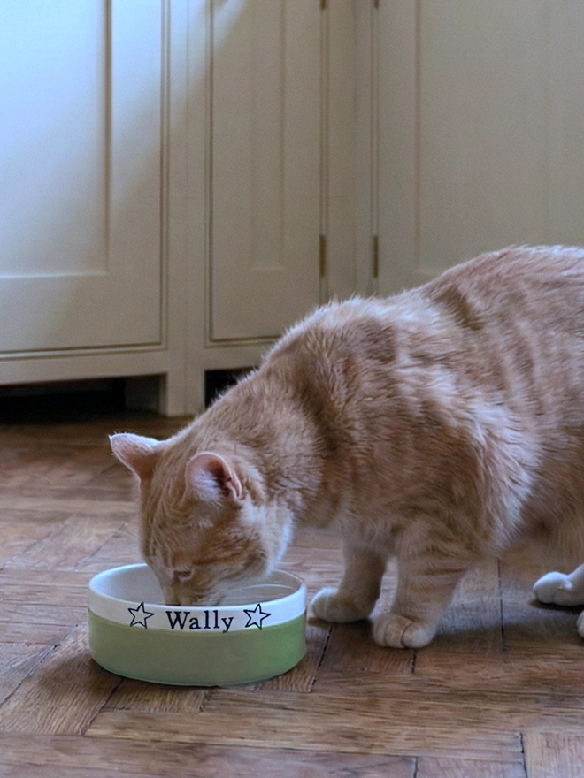Personalised ceramic cat bowl
