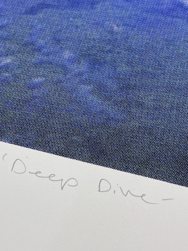 Deep Dive Silkscreen Print 
