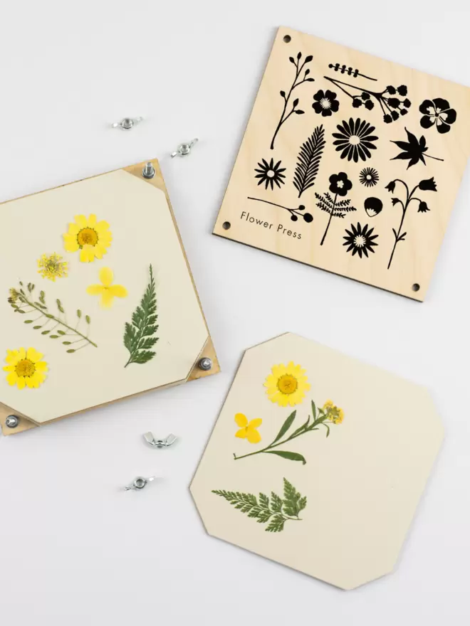 Flower press with illustrated flower design, opened up to show pressed flowers and leaves inside.