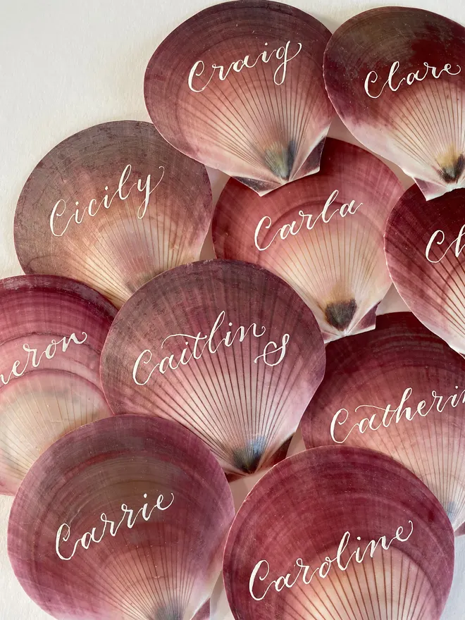 Pink scallop shell wedding place cards