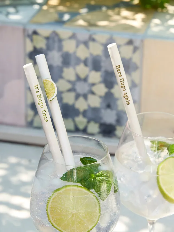 Ceramic Hugo Spritz Straws 