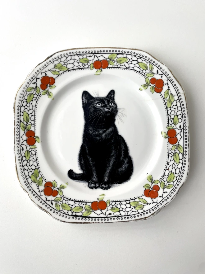 a vintage plate with an ornate border, in the centre of the plate is a vintage style black and white illustration of a black witch's cat