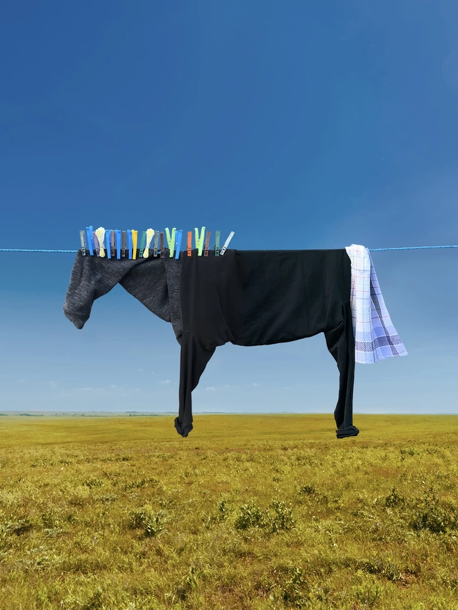 Pegasus the black clothesline horse hanging on a clothes line above a green field