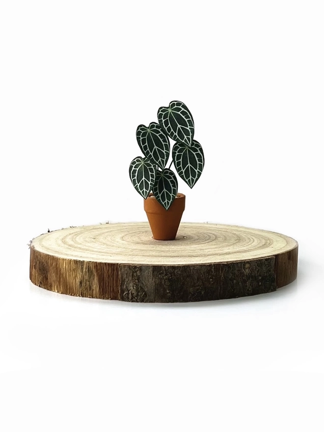 A miniature replica Anthurium Crystallinum paper plant ornament in a terracotta pot sat a wooden log slice against a white background