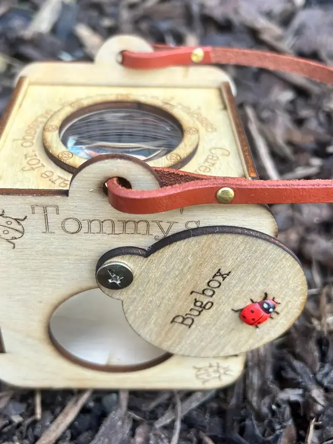 Baltic birch plywood bug observation box with clear viewing panels and a leather carrying handle displayed on dried leaves and pinecones.