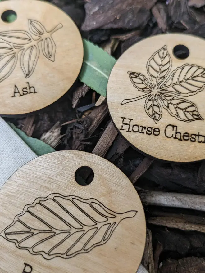 Wooden nature tail scavenger leaf learning discs graved with prompts and nature illustrations, scattered on leaves and forest floor.