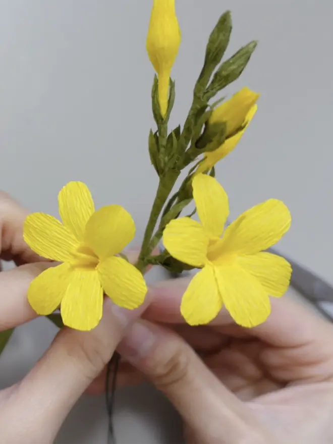Crepe Paper Winter Jasmine DIY Kit