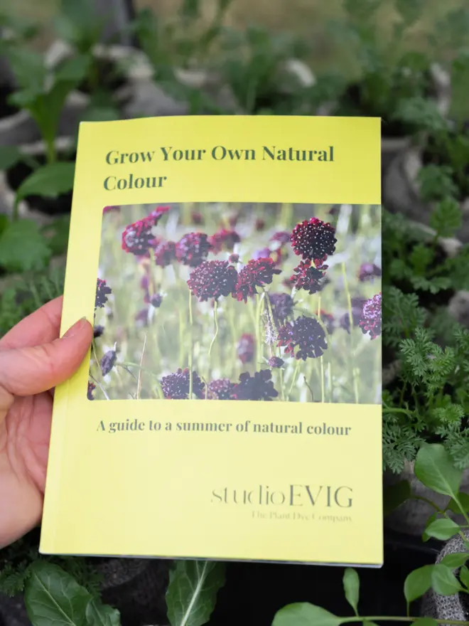 studioEVIG - Natural Dye Grow your own natural colour booklet