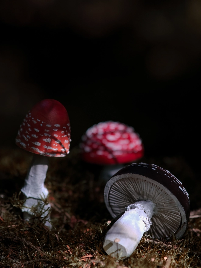 Handmade wooden toadstools and mushroom decorations inspired by enchanted woodland walks
