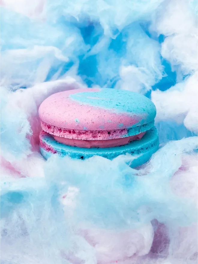 pink & blue Candy floss macaron on a cloud of candy floss