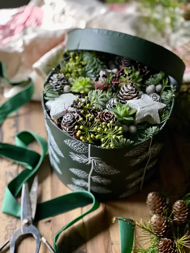 A Fresh Winter  White Flower Gift Box has the lid opened to show a brimming box of winter foliage, pine cones and berries, finished with coco stars and home grown succulents. The  gift box sits on a wooden table surrounded by decorations of green velvet ribbons, pine cones, a white and red vintage tea towel and a pair of vintage scissors.