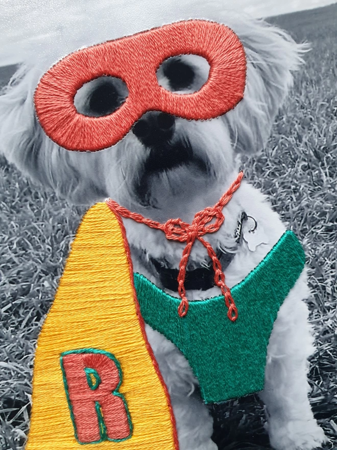 Close up of pet photograph with hand embroidered mask, cape and initial