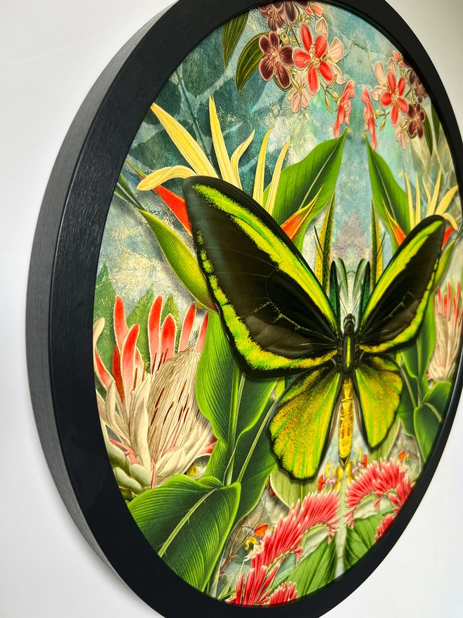 Side view of circular frame and art