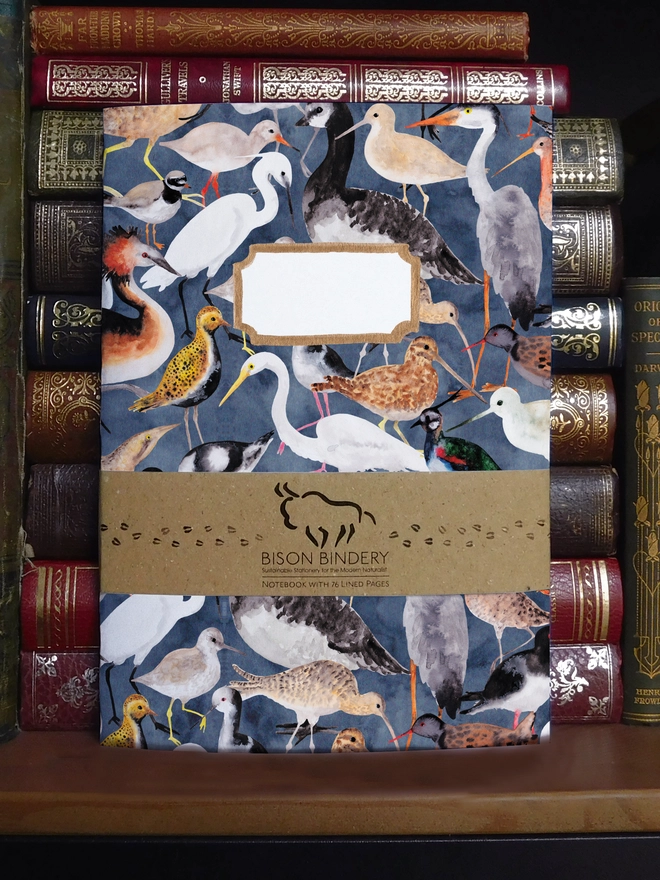 Aestes Lined Journal 