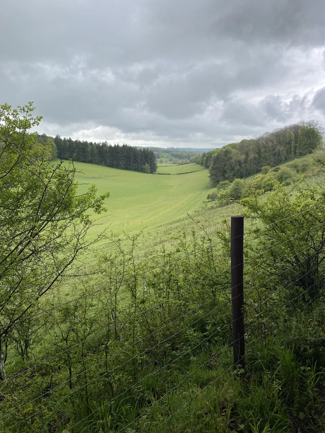 The Wiltshire Way