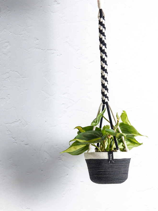 Hanging Cotton Plant Pot