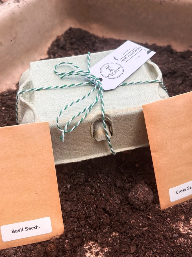 Green egg-box with two kraft seed packets in soil 