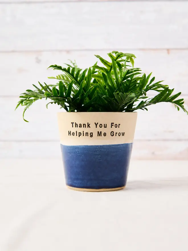 Thank you for helping me grow ceramic plat pot blue and cream 