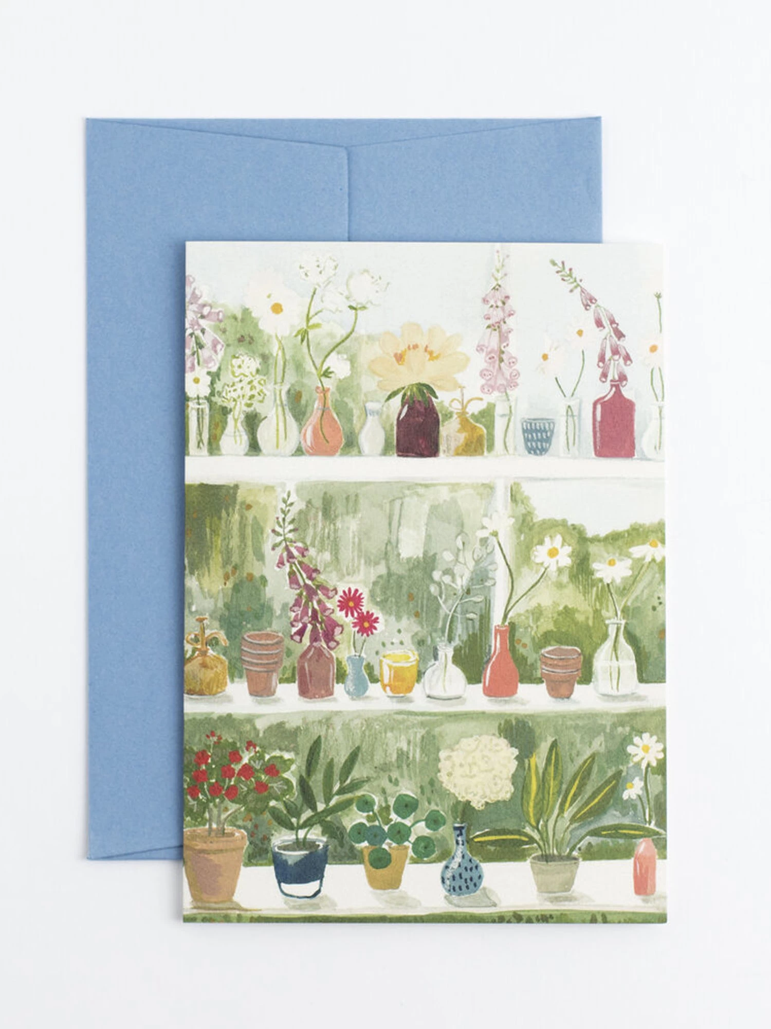 A greeting card featuring shelving within a glasshouse. A collection of illustrated flowers in vases and succulents in terracotta pots.