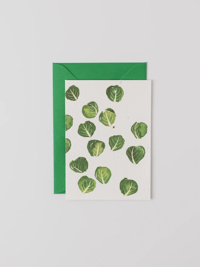 Ruby & Bo Brussel Sprout Plantable Christmas Card on white background