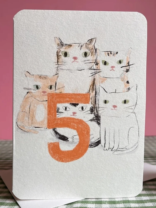 Five Today Cats Card