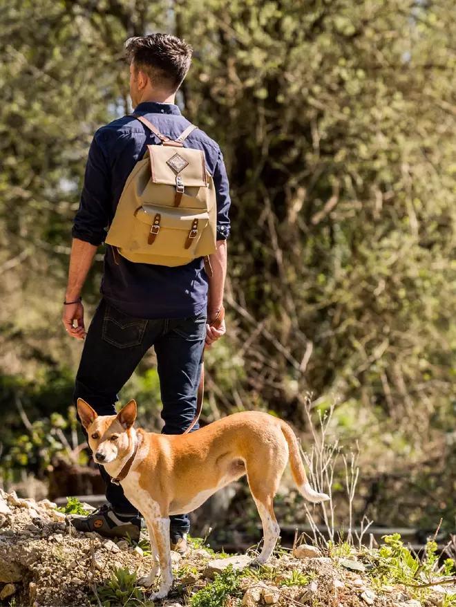 Tan dog wearing brown leather Windsoredge lead, with model wearing a Portamus backpack.