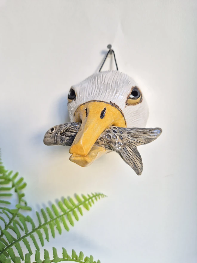 Pesky Seagull With fish