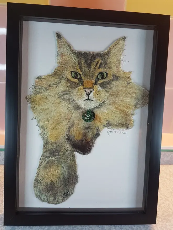 Personalised Pet Portrait Illustration