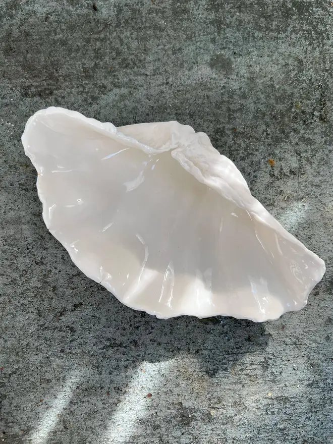  porcelain clam shell dish