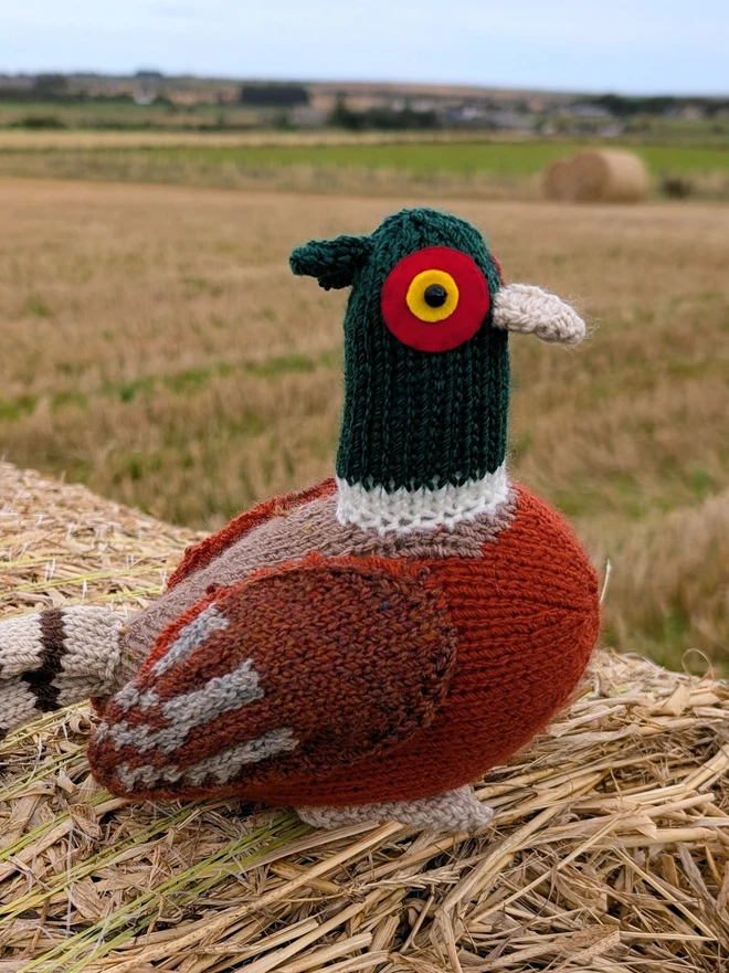 a knitted pheasant sitting on a hay bale with a field in the background