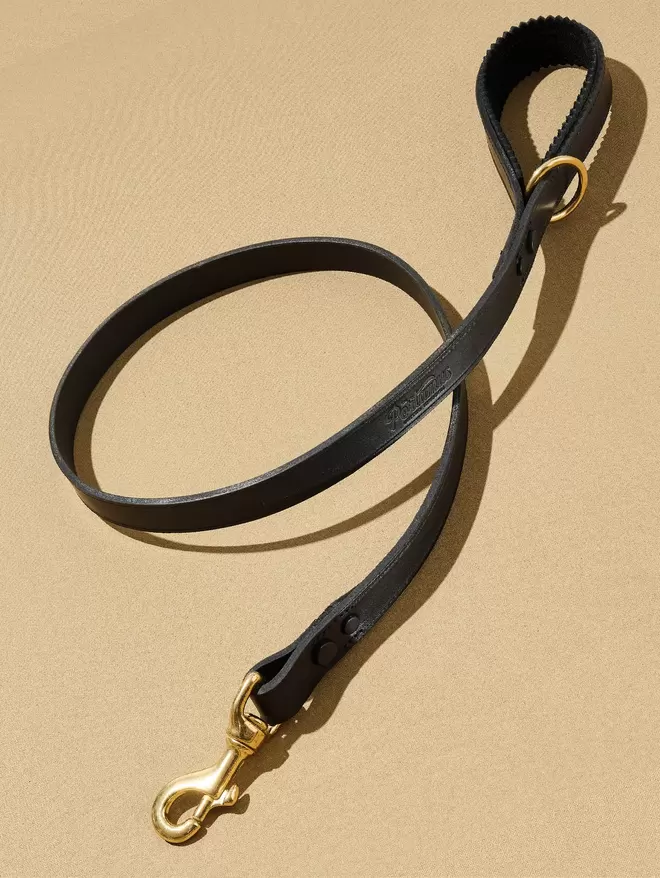 Black leather Windoredge dog collar with Brass hardware.