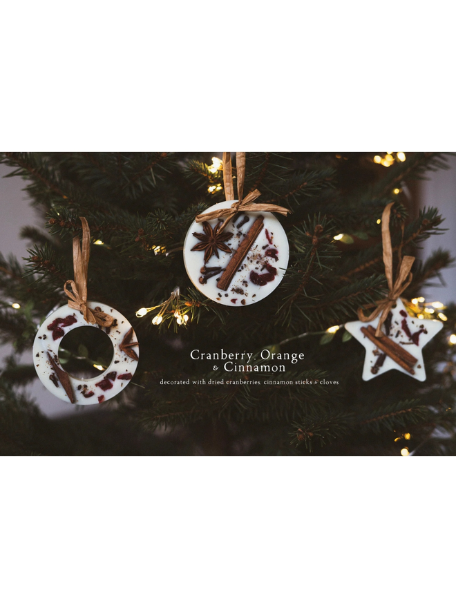 Christmas soy wax melt tree decoration