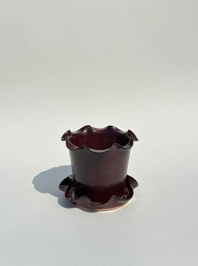 Frilly Plant Pot And Saucer, a collection of colourful plant pots sitting on a plain surface. 
