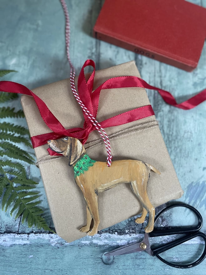 Hungarian Vizsla with docked tail placed on a present