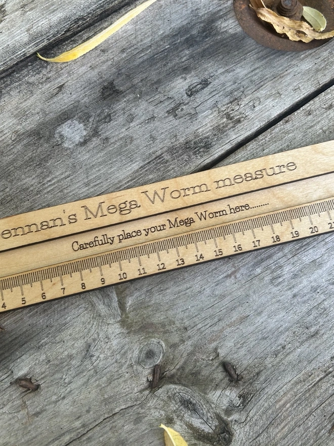 A personalised birch plywood worm‑measuring board lying flat on a natural outdoor surface. The tool features a long engraved ruler scale up to 26cm and a central slot for safely placing a worm during measurement. The wood has a smooth, light oil finish with rounded edges, designed for young learners and forest school activities. No worms are shown; only the wooden measuring board with its  carrying cord is visible.