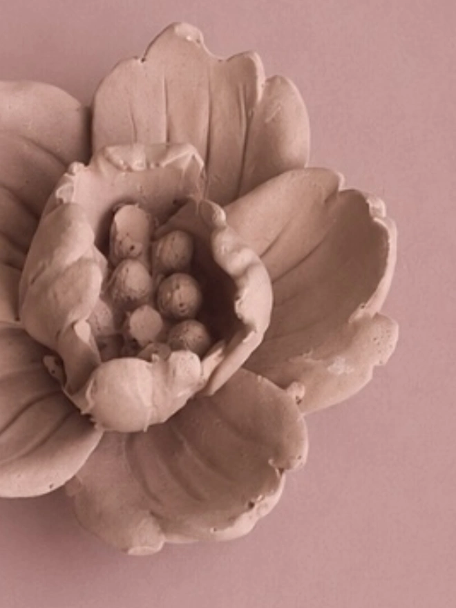 Pink Wall Flowers