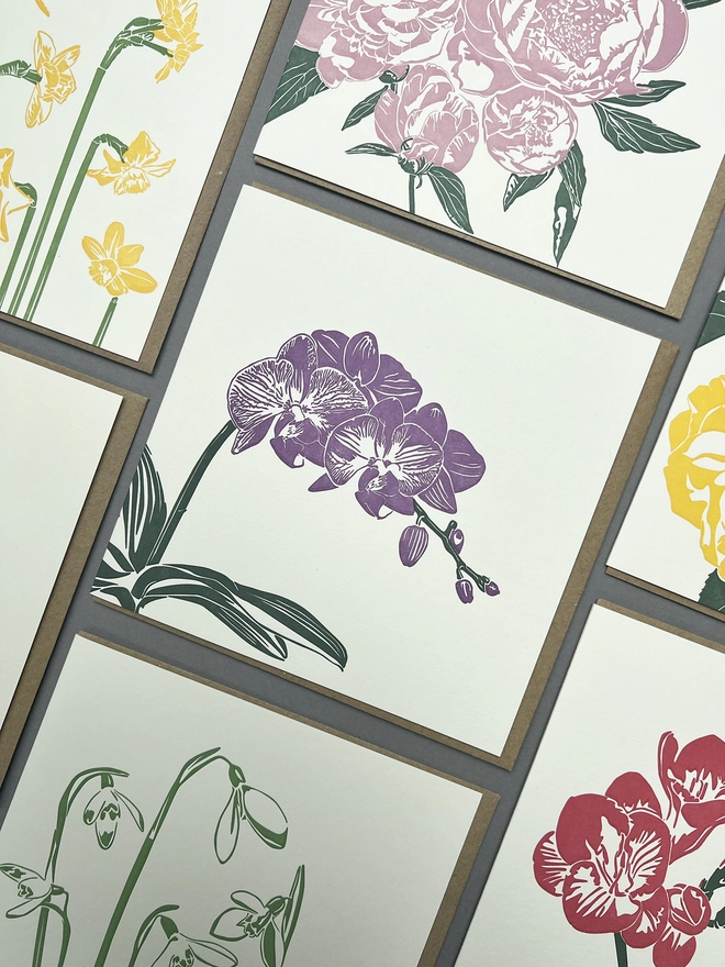 Beautiful letterpress Moth orchid card together with its floral friends