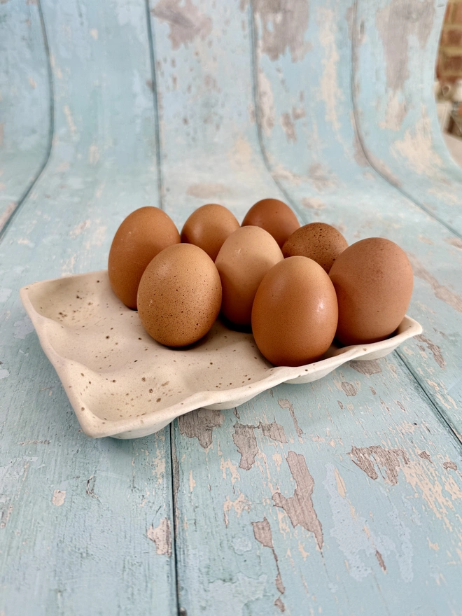 White Ceramic Egg Tray kitchen storage 