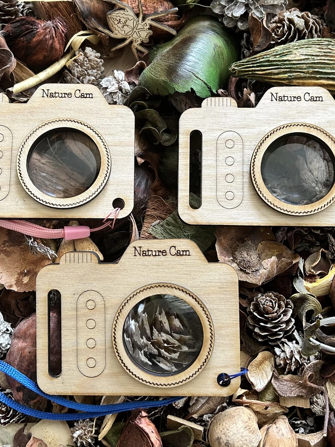 Set of three nature cameras on a woodland floor