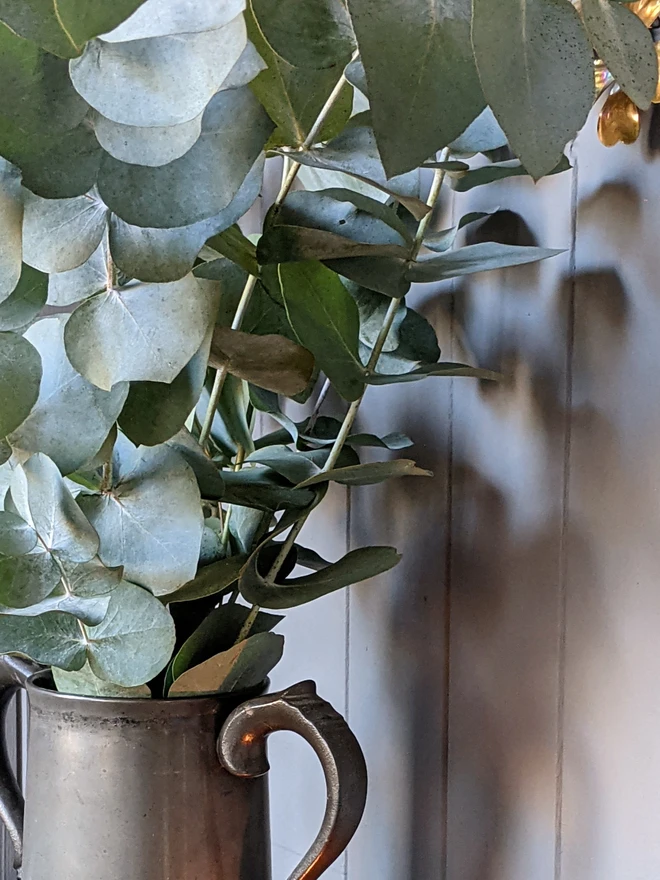 eucalyptus in metal vase with grey background
