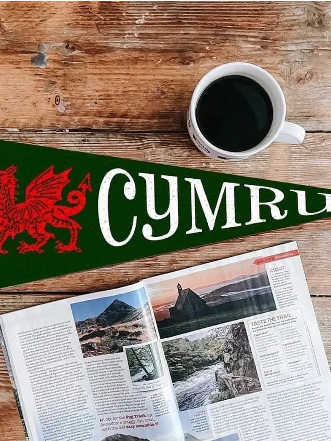 'Cymru' Felt Pennant Flag